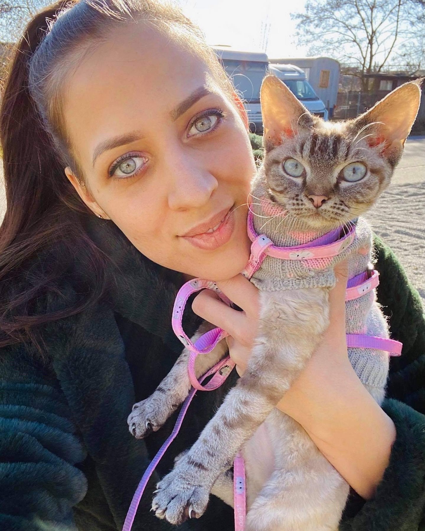 Photo-by-DEVON-REX-Kittens-_-Luxury-Cattery-_Funny-CATS-on-July-31-2024.-May-be-an-image-of-tortoiseshell-cat-Abyssinian-cat-kitten-and-fur.jpg Photo-by-DEVON-REX-Kittens-_-Luxury-Cattery-_Funny-CATS-on-July-31-2024.-May-be-an-image-of-tortoiseshell-cat-Abyssinian-cat-kitten-and-fur.jpg